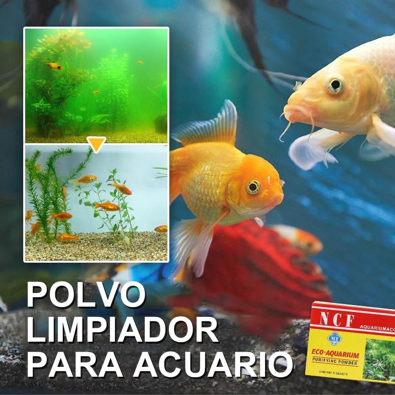 Polvo limpiador para acuarios