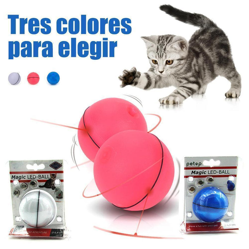 LED Bola divertida para gato, 3 colores