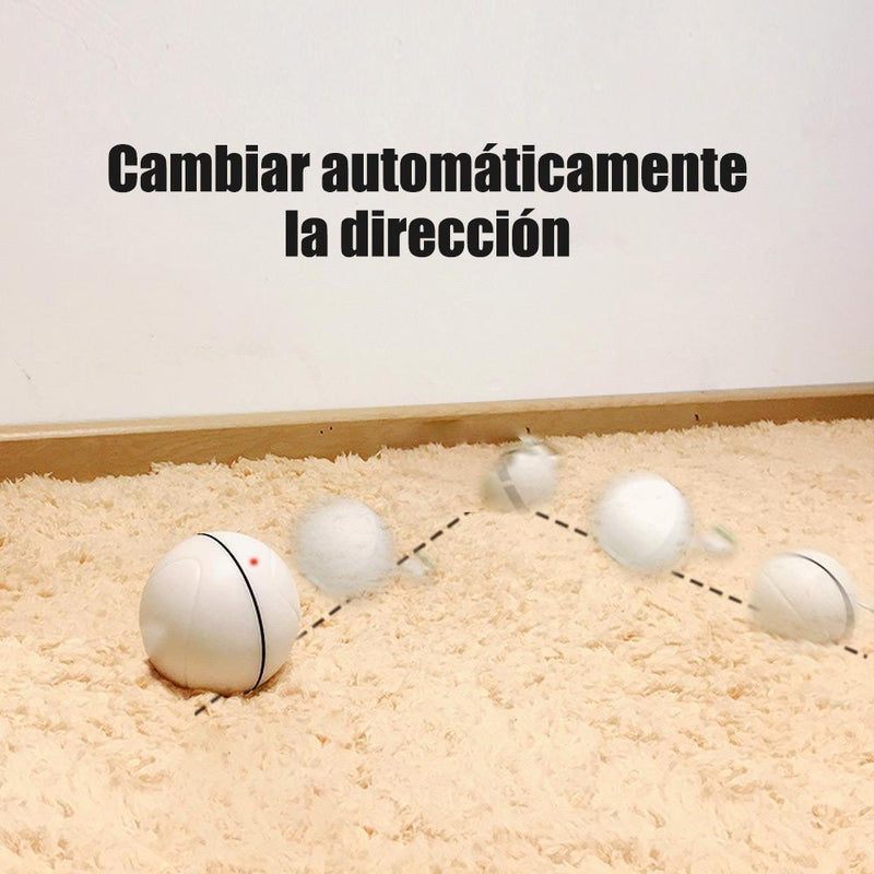 LED Bola divertida para gato, 3 colores