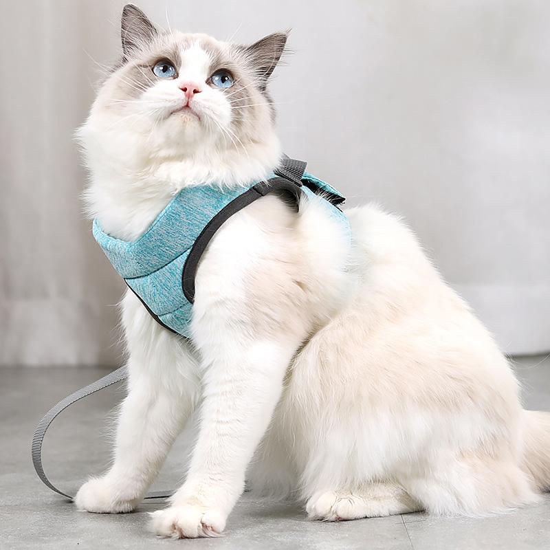 Arnés y correa del chaleco para gatos