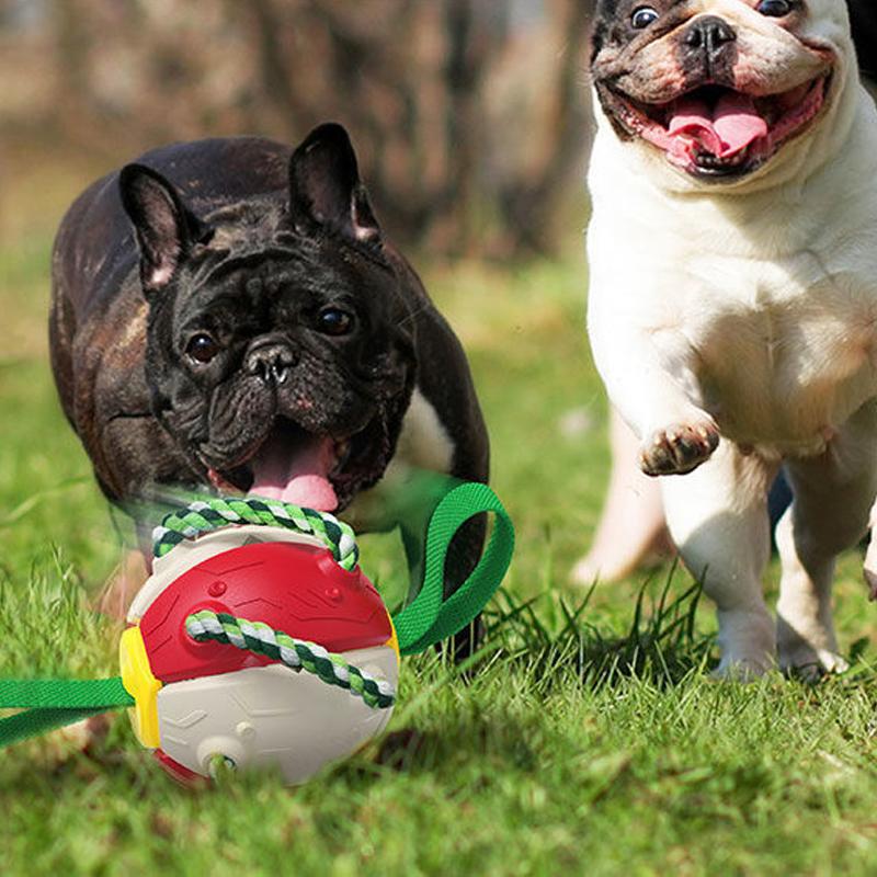 Frisbee de juguete para perros a prueba de mordiscos