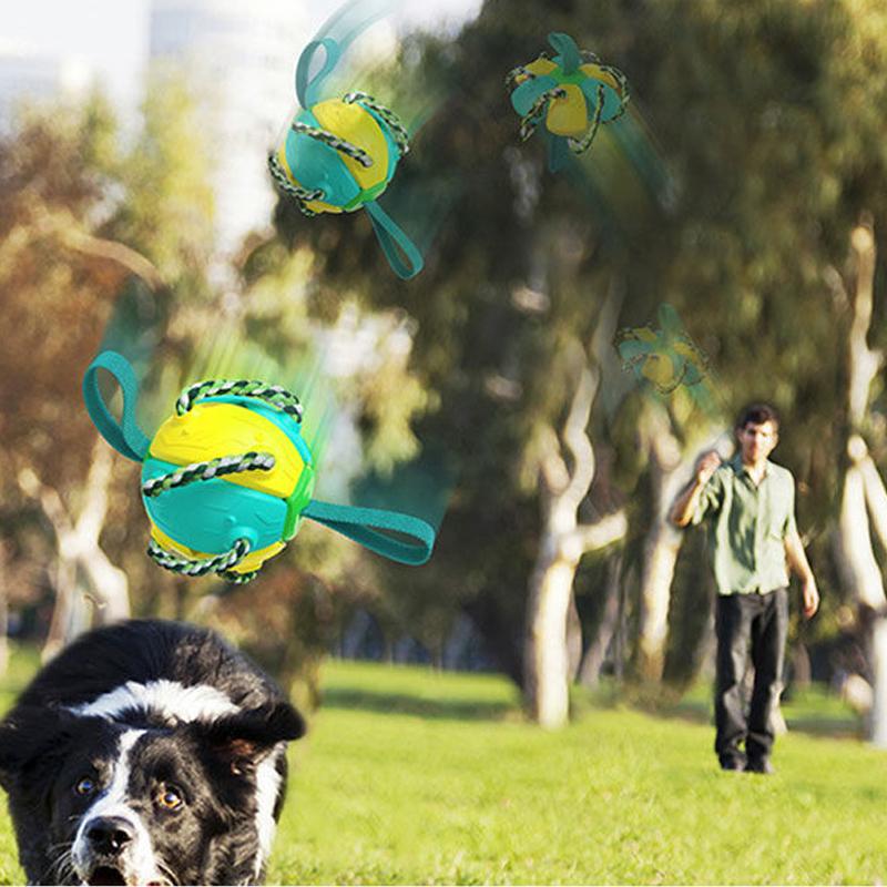 Frisbee de juguete para perros a prueba de mordiscos