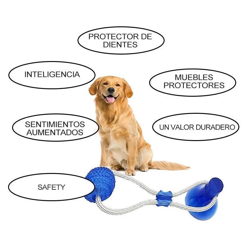 Juguete multifuncional para mordedura de molar para mascotas