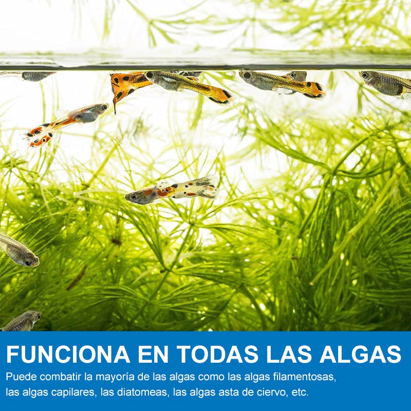 Polvo limpiador para acuarios